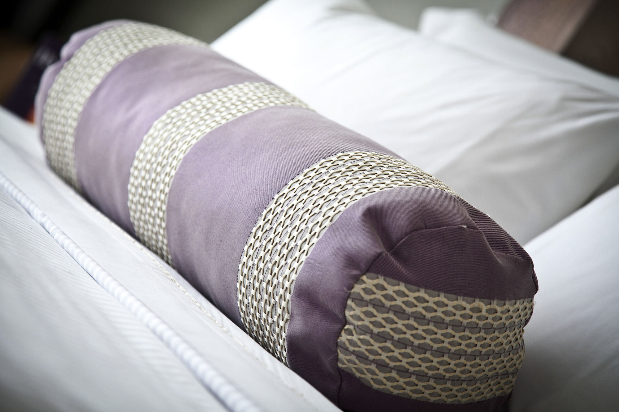 Hs Hotsson Hotel Silao Εξωτερικό φωτογραφία